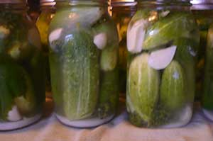 pickles