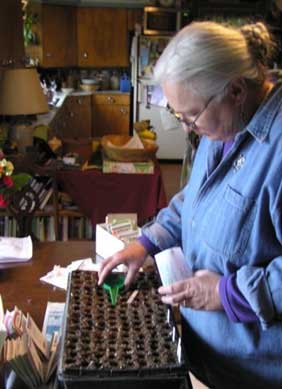 diane starting seeds