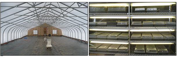 greenhouse and germination chamber