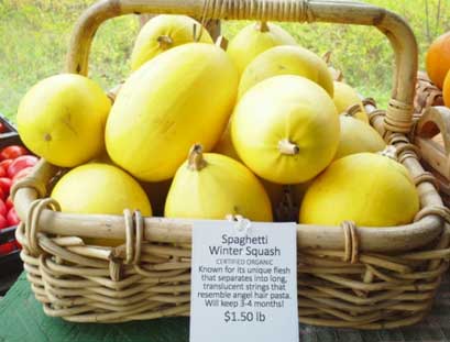 spaghetti squash