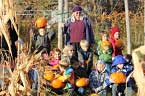 diane green and pumpkins