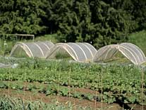 donate hoop house