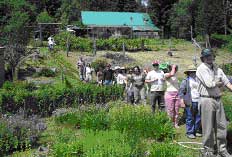 field day organic seed alliance