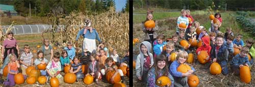 Pumpkin Project Waldorf 2008, Pumpkin Project Fall 2014 Northside School