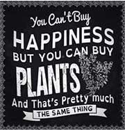 happiness and plants